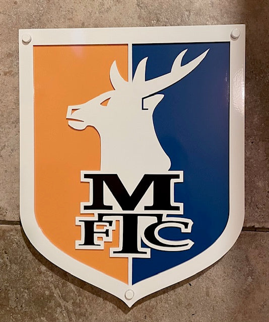 新品 CASTORE MANSFIELD TOWN ロゴ フーディ インポートM新